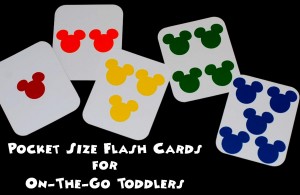 pocket sized flash cards