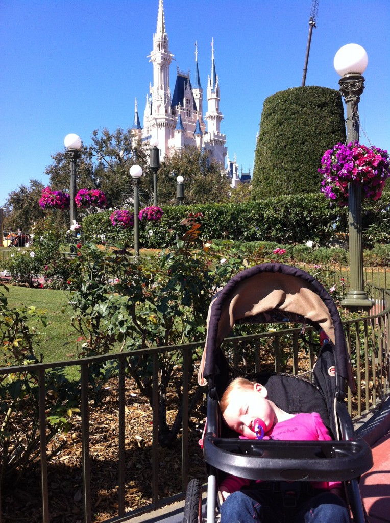 Nap time in the Rose Garden