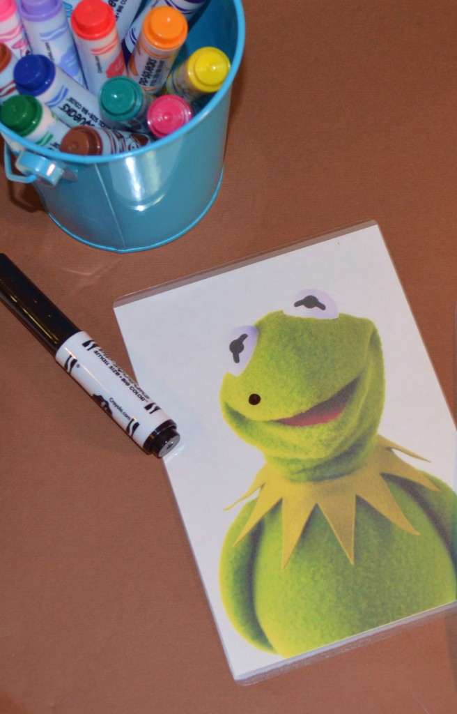 Kermit photo 002