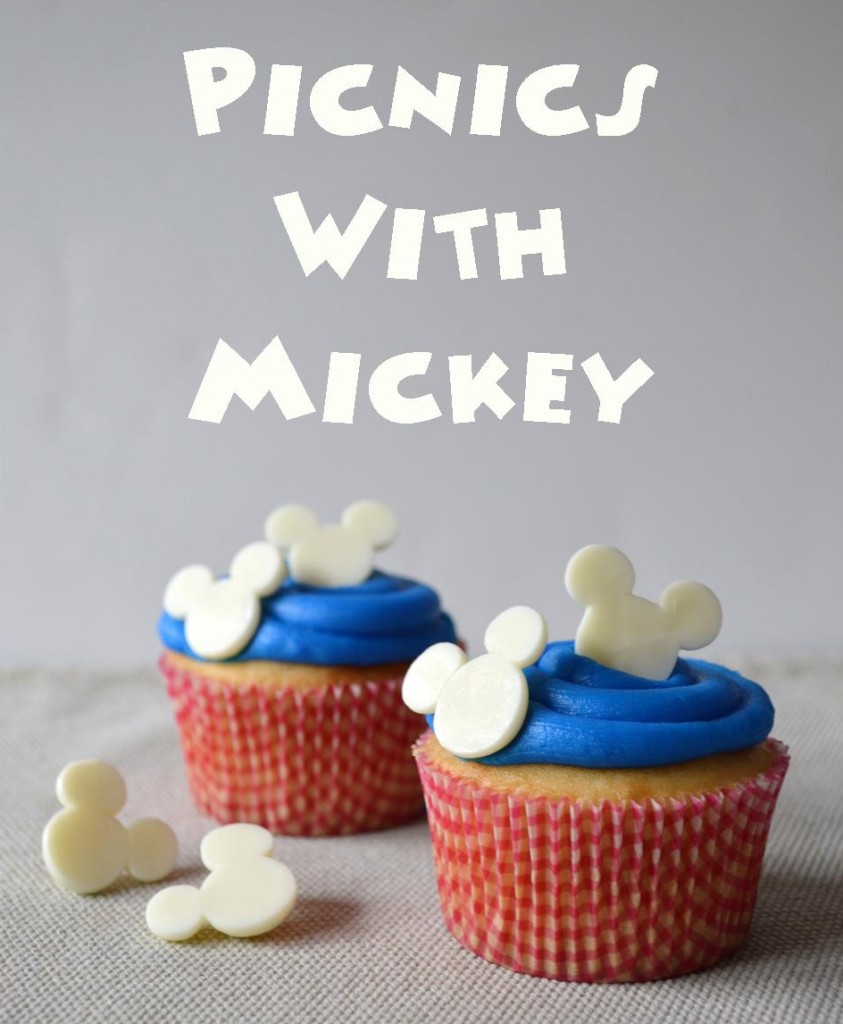 Picnic mickey